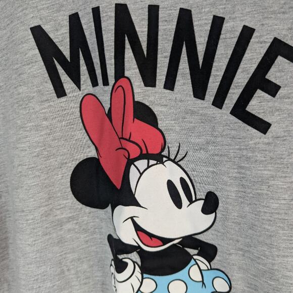 Disney Minnie Mouse Gray Short Sleeve Family Fun Tee Sz Small - Picture 2 of 4